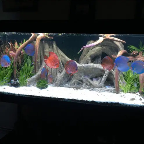 10 t m 50 cm helder wit complete set aquarium led strip