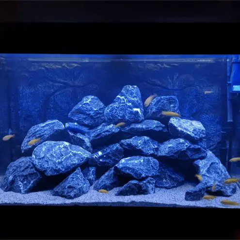 100 t m 150 cm blauw complete set aquarium led strip 12