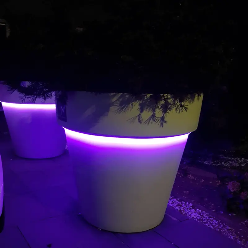 Neon LED verlichting