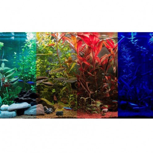 50 t m 70 cm rgb aquarium led strip 4
