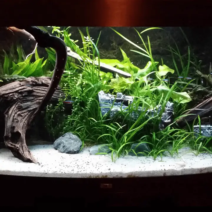100 tm 150 cm aquarium LED strip Koud wit 4