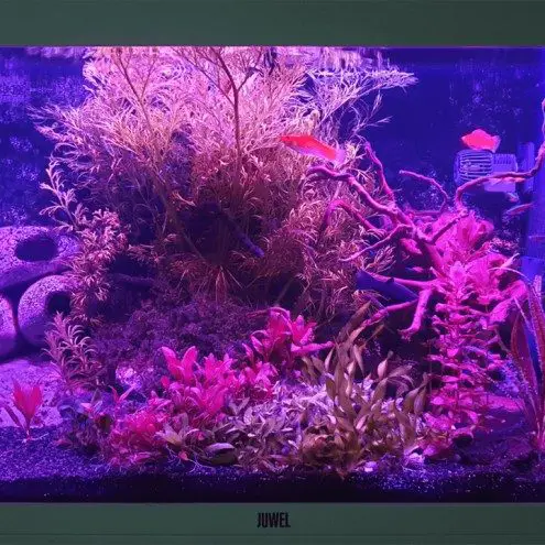 100 tot 150 cm RGB complete set aquarium led strip 5