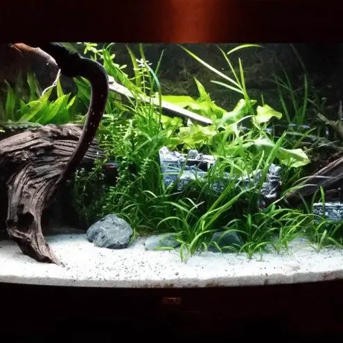70 tm 100 cm aquarium LED strip Koud Wit 4