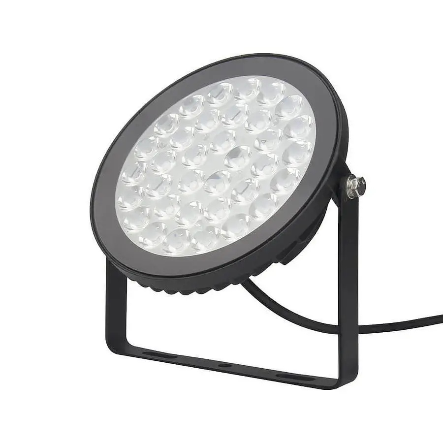 SPECIALE LEDS