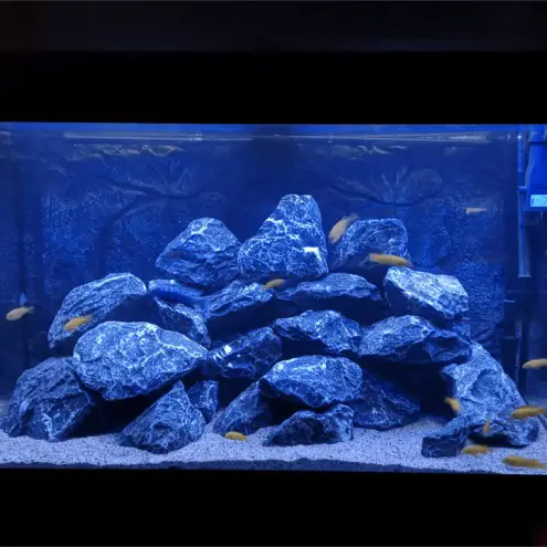10 tm 50 cm BLAUW complete set aquarium led strip 4